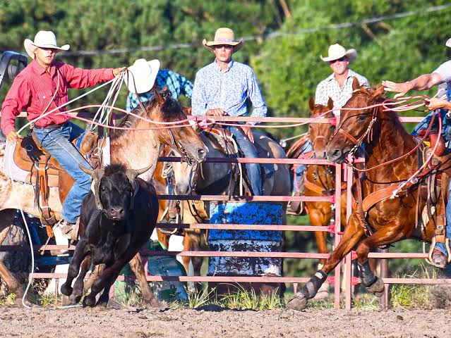 ranch rodeo